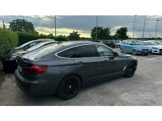 ultimo labrador disponibile