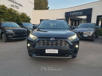 rav4 2.5 hv (218cv) e-cvt 2wd active