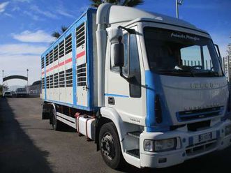 eurocargo 120/24 trasporto bestiame