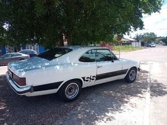 diplomata/diplom. sle 4.1/2.5