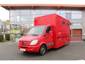 sprinter ii 311 cdi steinsberger pferdetranporte