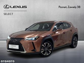 lexus ux 300h business