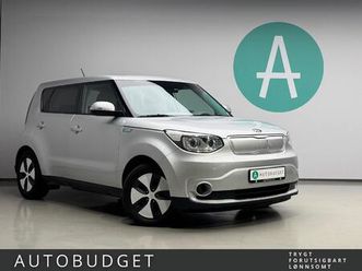 30 kwh / lav km / cruise / navi / r. kamera / rattvarme