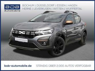 stepway extreme+ tce 110 8-fach bereift navi shz pdc bt