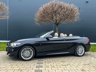 bmw 230i cabrio m sport 8x|led|navi|h&k|ahk|top|de
