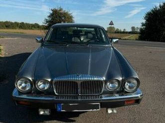 jaguar daimler double sox