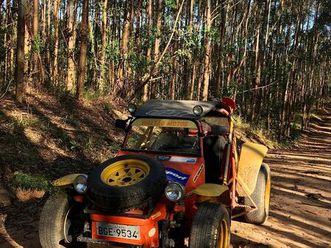 buggy gaiola cronos crotalus 1986