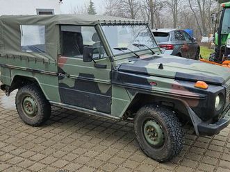 mercedes-benz 250 g wolf