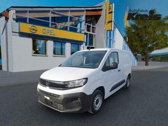 cargo pdc kamera navi-mobil holzboden