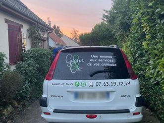 peugeot 206 sw break