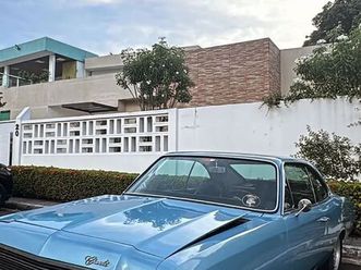 diplomata/diplom. sle 4.1/2.5