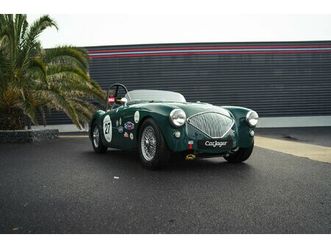 1954 austin-healey 100 / 4 - bn1 fia