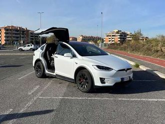 model x performance awd + ludicrous pack+autopilot