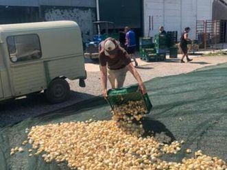 ② citroën acadiane — oldtimers & ancêtres — 2ememain