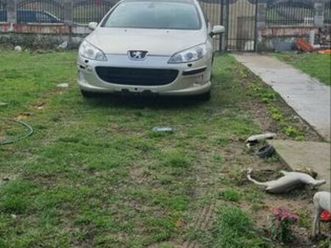 peugeot 407 sw 2006 2.0 hdi targu jiu