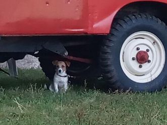 land- rover serie 2a diesel mit h- kennzeichen