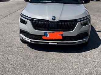 skoda kamiq dark shade 2019