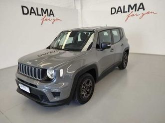 renegade 2019 renegade 1.0 t3 80th anniversary 2wd