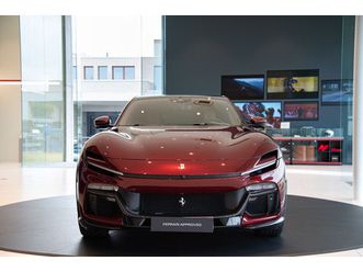 occasion purosangue 2025 à vendre à sint-martens-latem