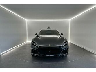 occasion purosangue 2025 à vendre à wijnegem