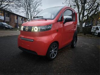 voiture sans permis électrique