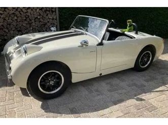 austin healey sprite frogeye