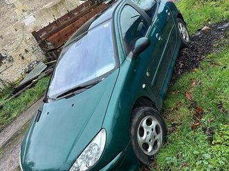 206 roland garros toit pano