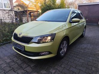 skoda fabia ambition,led,tem,shz,tüv neu,dab.pdc,euro6