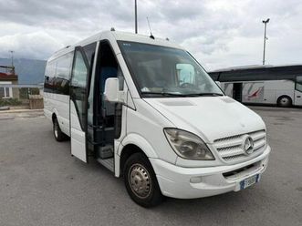 sprinter 19+2