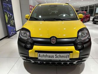 fiat panda pandina cross