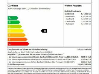 skoda octavia 2.0 tdi dpf selection *ahk *360 klima