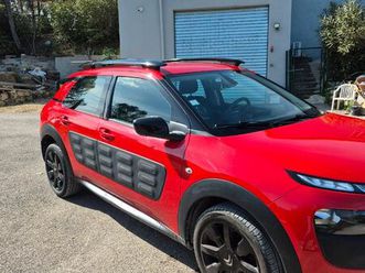 c4 cactus