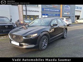 ba6 business executive