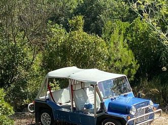 mini moke