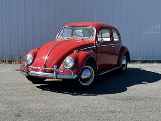 1964 volkswagen beetle