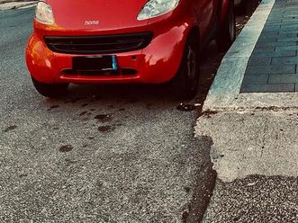 smart 1°serie neopatentati