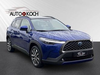 team d: basis + premium-paket