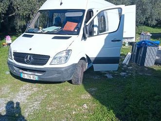 échange sprinter 311