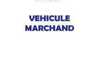 c4 cactus puretech 110 s&s shine