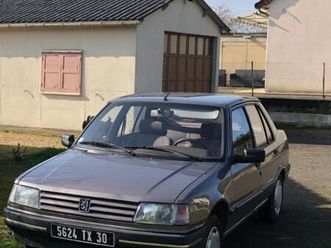 peugeot 309 gr - 1991