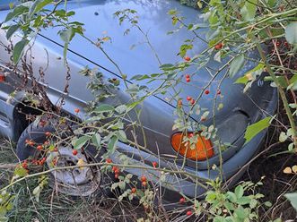 lada / ваз 2115 an. 2005