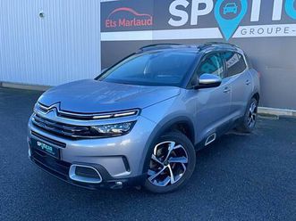 bluehdi 130 s&s eat8 shine