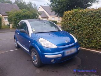 c3 pluriel bleue essence