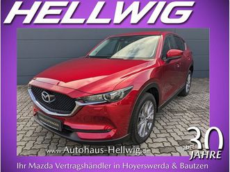 2.2l ad´vantage awd 360° kamera navi