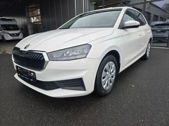 skoda fabia active 1.0 mpi sitzheizung pdc