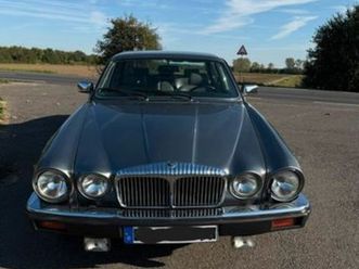 jaguar daimler double sox