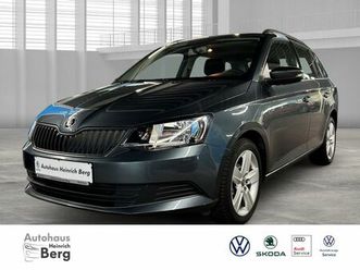skoda fabia combi active 1.0 tsi sperrdiff. dab tel.-v