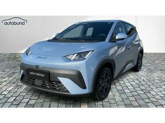 byd dolphin surf boost keyless navi kamera