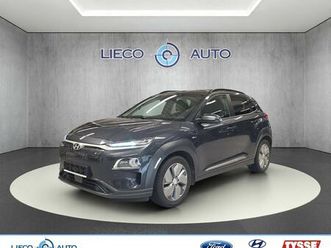 64kwt 204hk premium skinn takluke h.feste