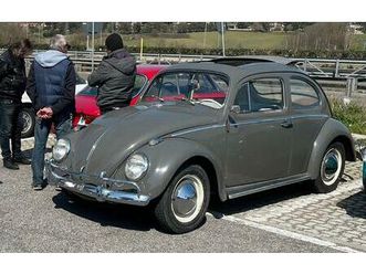 maggiolino ragtop mod.117